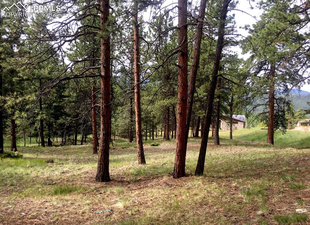 271 Thunder Ridge Drive Woodland Park CO 80863