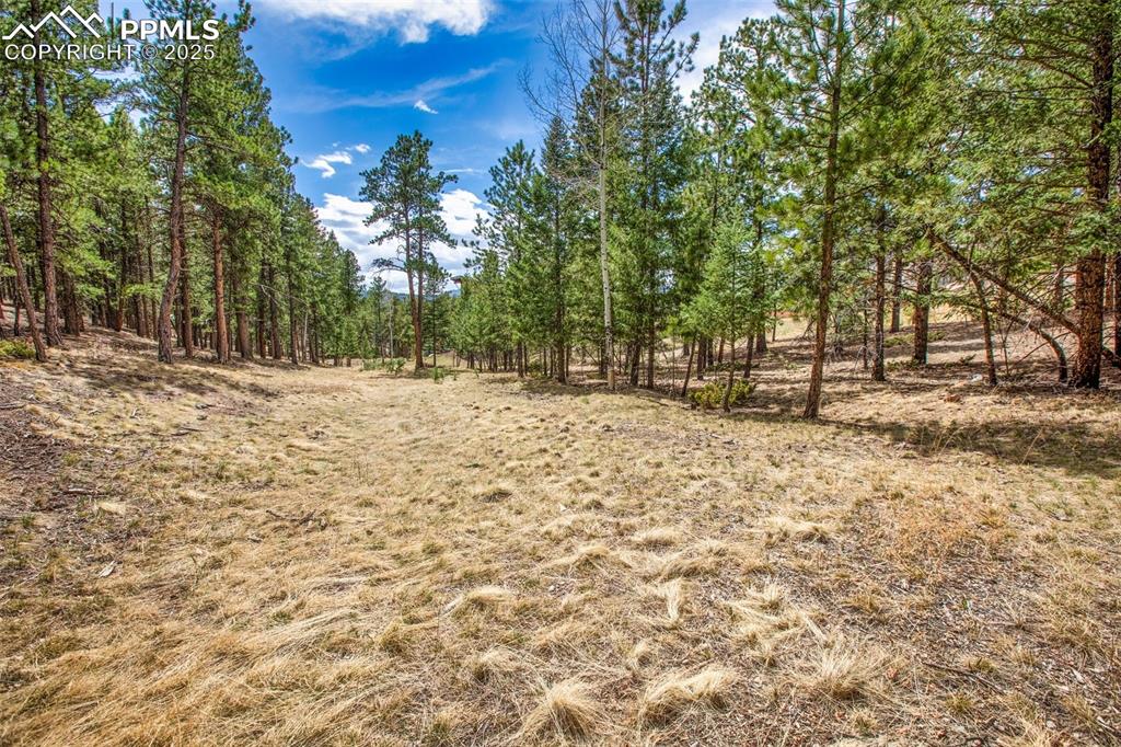 271 Thunder Ridge Drive Woodland Park CO 80863