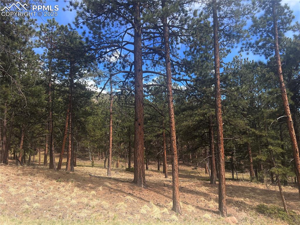 271 Thunder Ridge Drive Woodland Park CO 80863