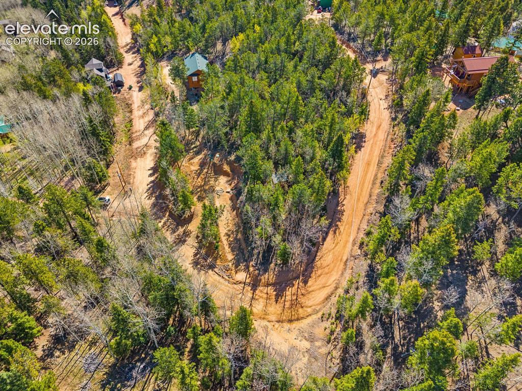 413 Wakanda Trail Woodland Park CO 80863