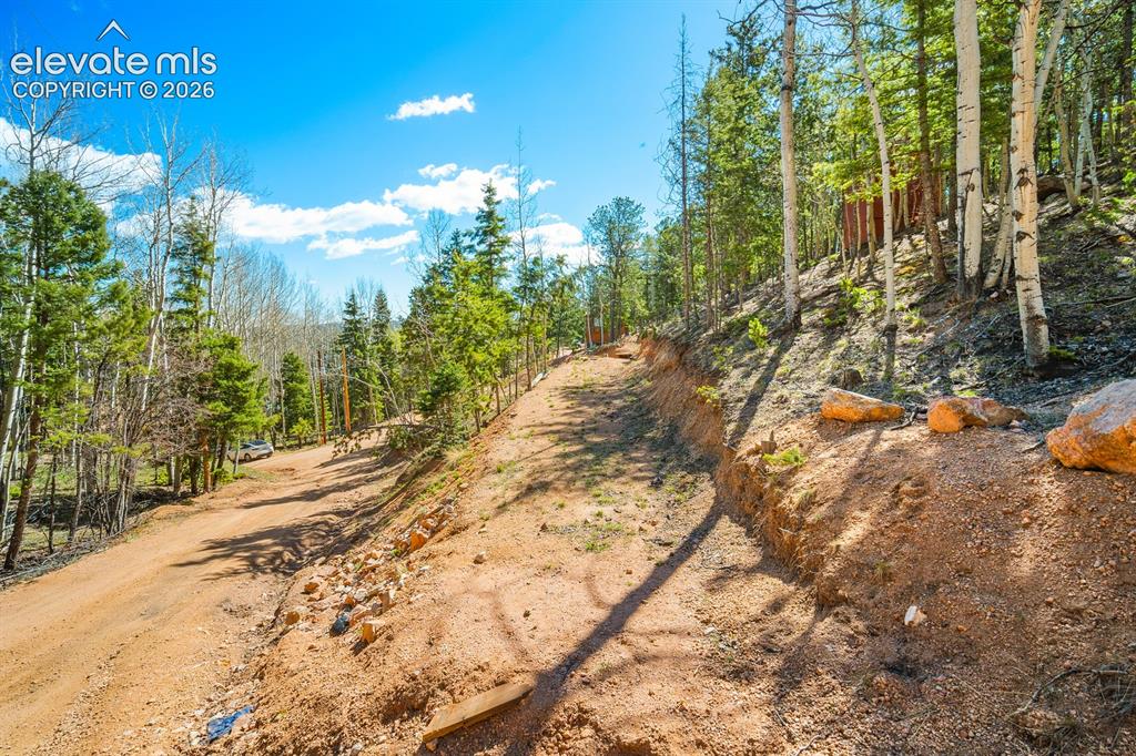 413 Wakanda Trail Woodland Park CO 80863