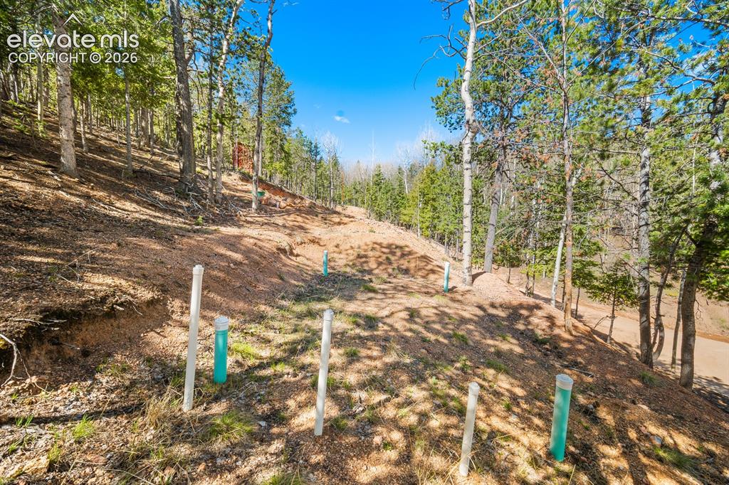 413 Wakanda Trail Woodland Park CO 80863