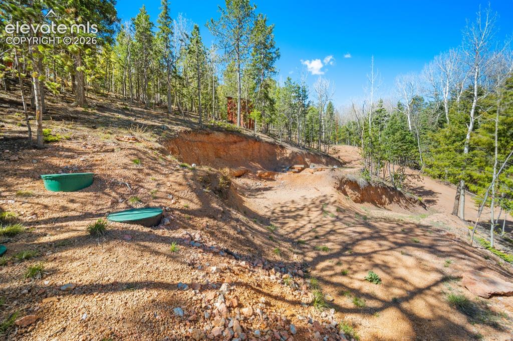 413 Wakanda Trail Woodland Park CO 80863