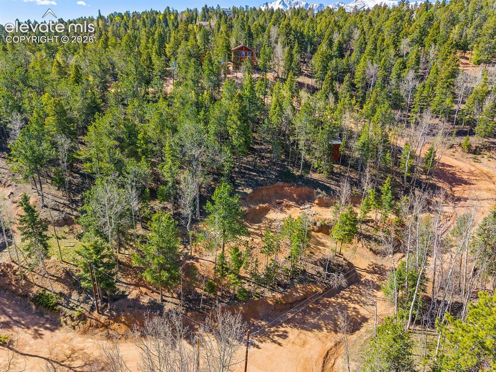 413 Wakanda Trail Woodland Park CO 80863