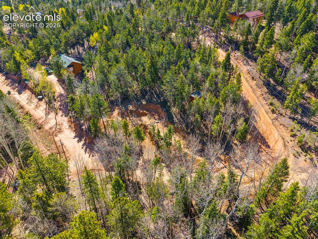 413 Wakanda Trail Woodland Park CO 80863