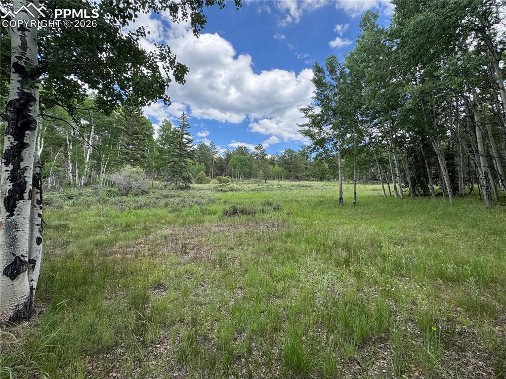 117 Vagabond Creek Terrace Lake George CO 80827