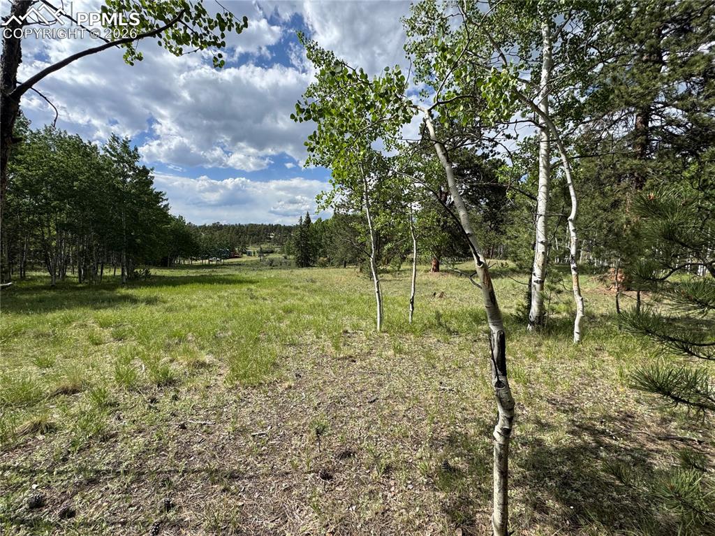 117 Vagabond Creek Terrace Lake George CO 80827