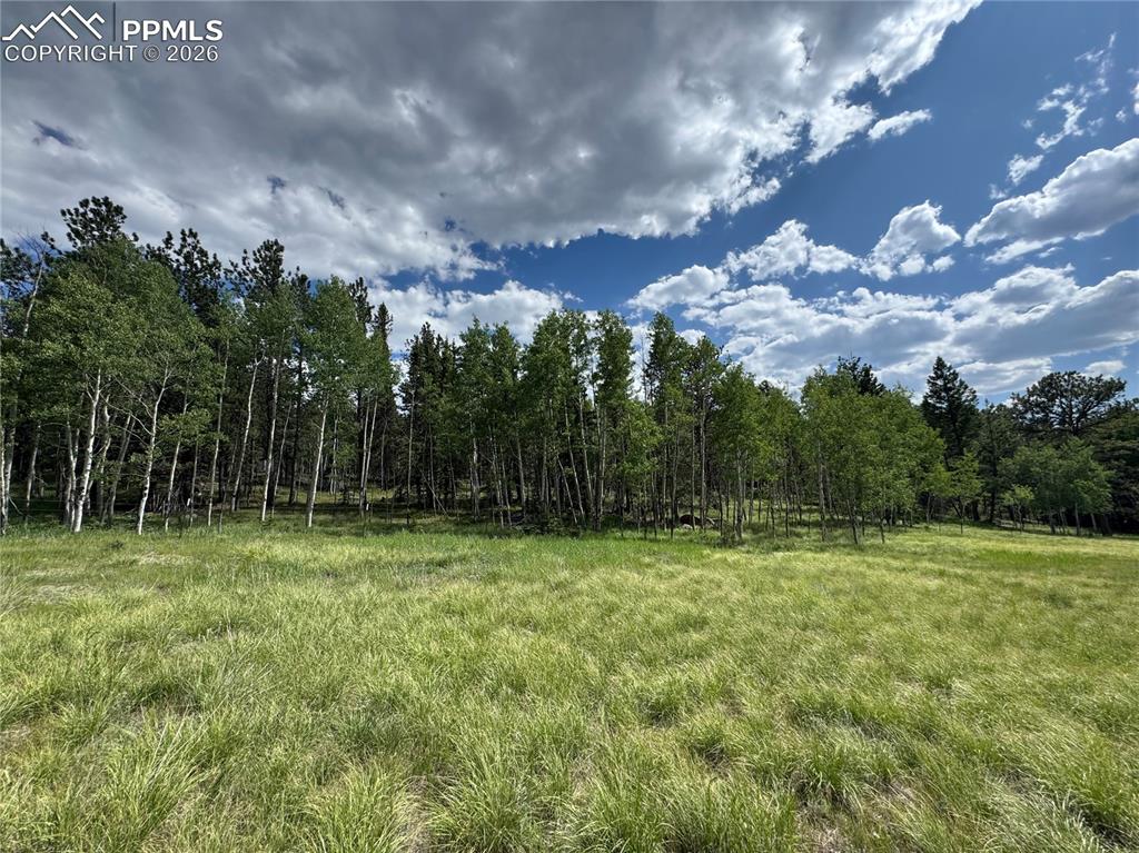 117 Vagabond Creek Terrace Lake George CO 80827