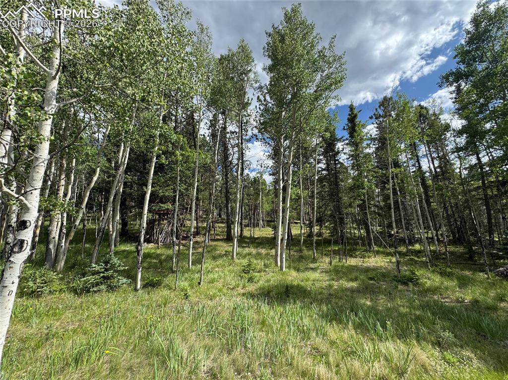 117 Vagabond Creek Terrace Lake George CO 80827