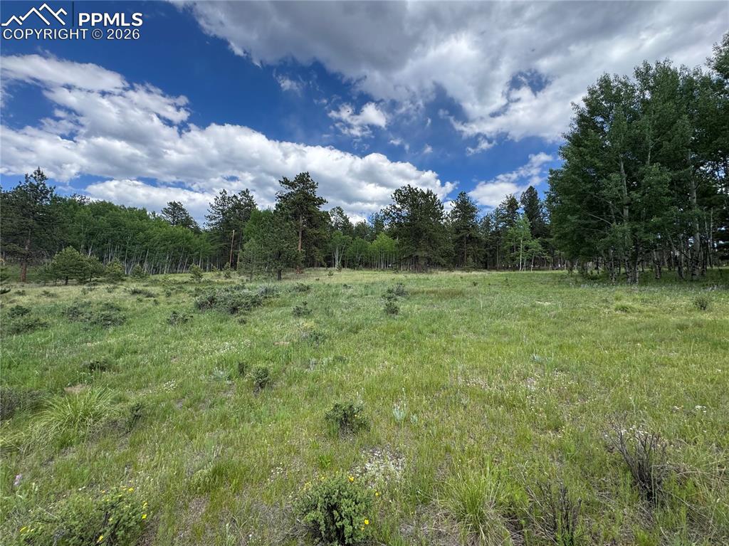117 Vagabond Creek Terrace Lake George CO 80827