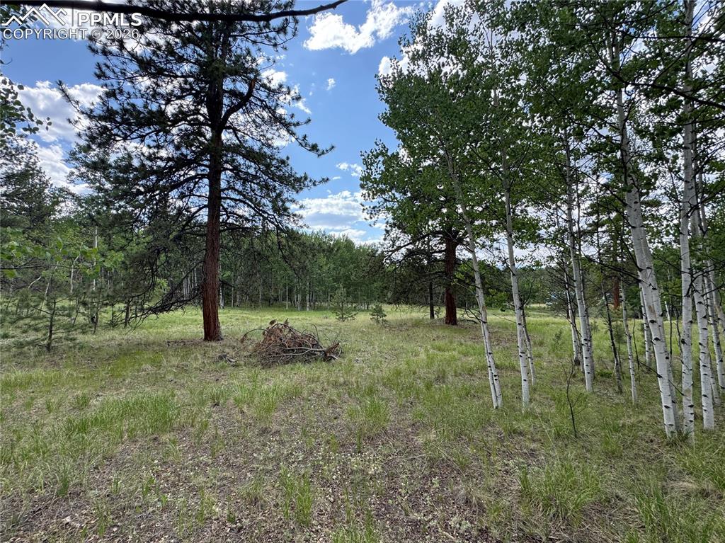 117 Vagabond Creek Terrace Lake George CO 80827