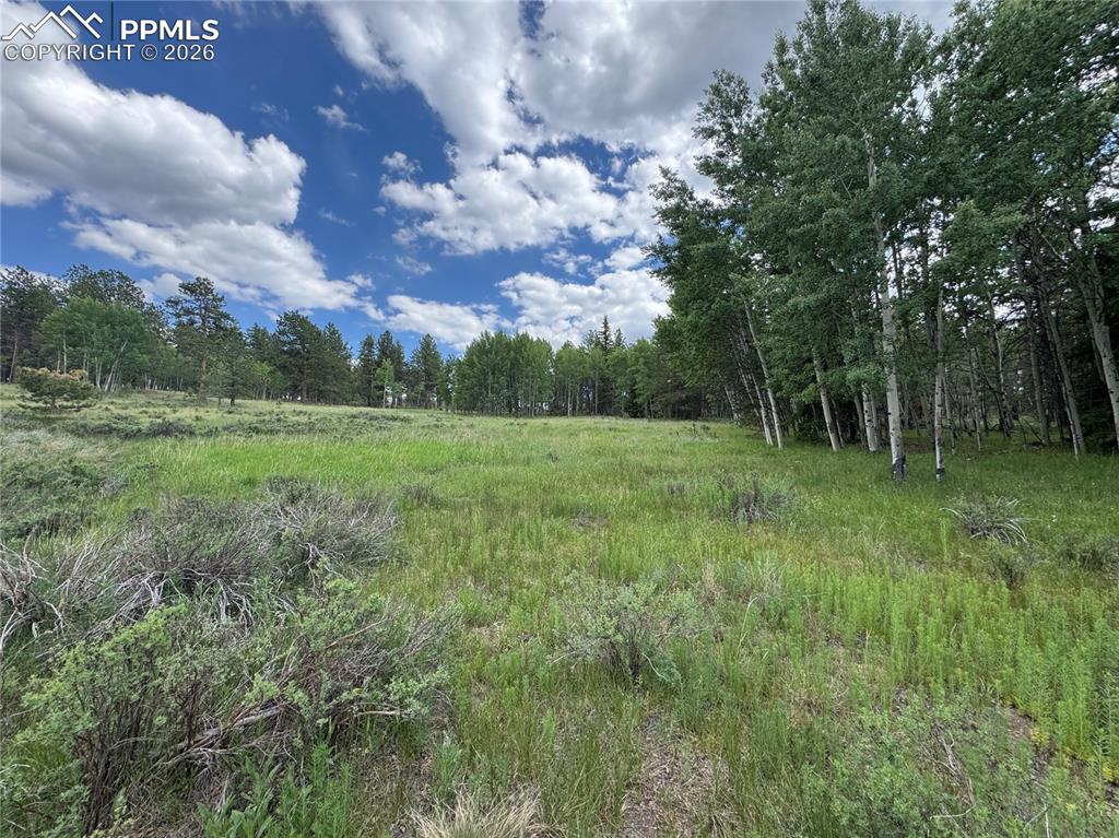 117 Vagabond Creek Terrace Lake George CO 80827
