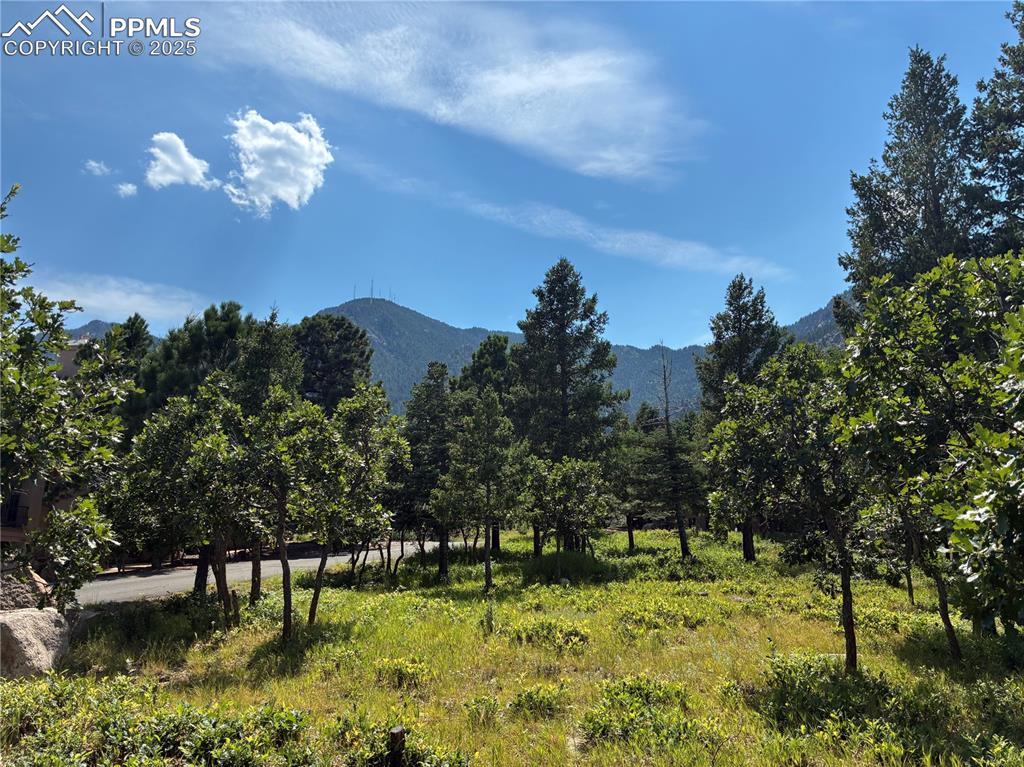 920 Grey Mountain Point Colorado Springs CO 80906