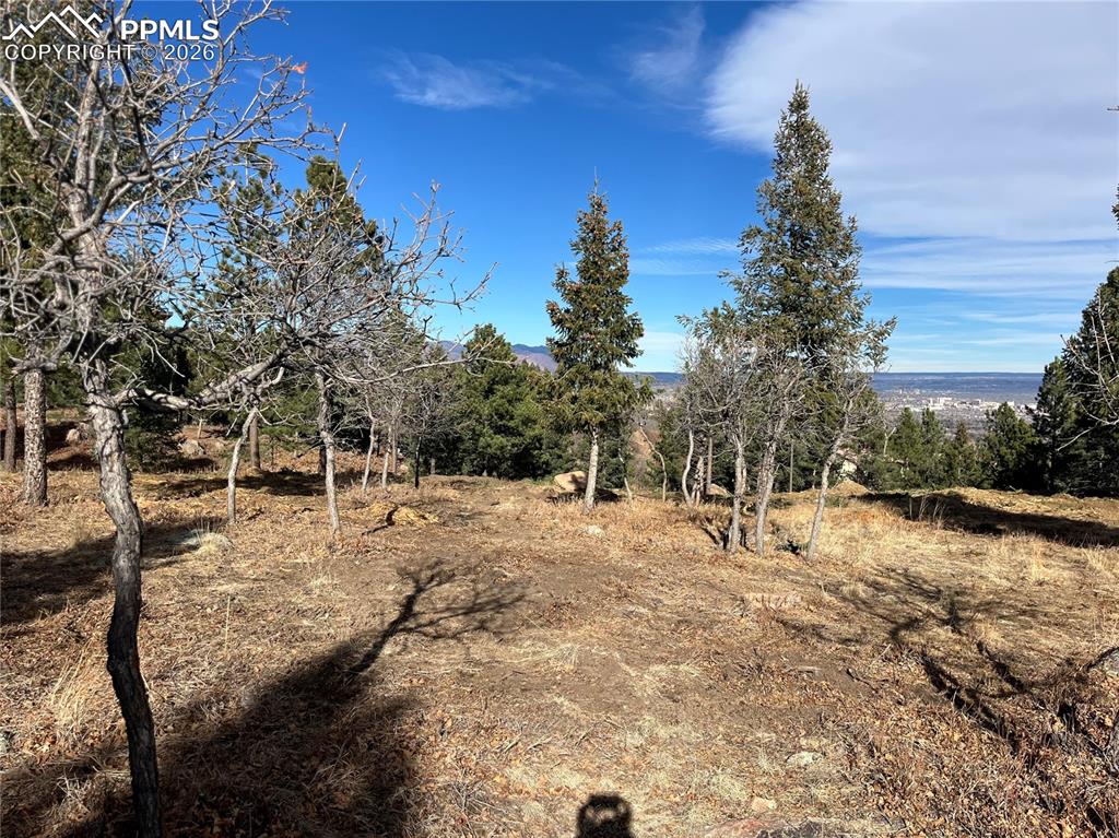 920 Grey Mountain Point Colorado Springs CO 80906