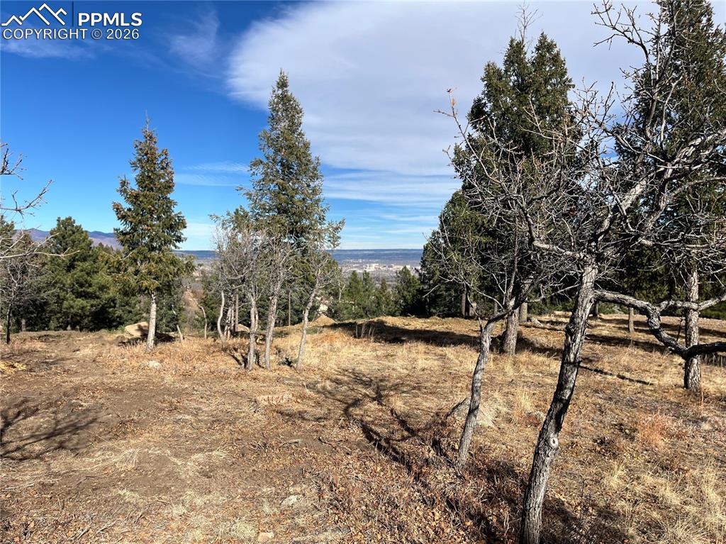 920 Grey Mountain Point Colorado Springs CO 80906