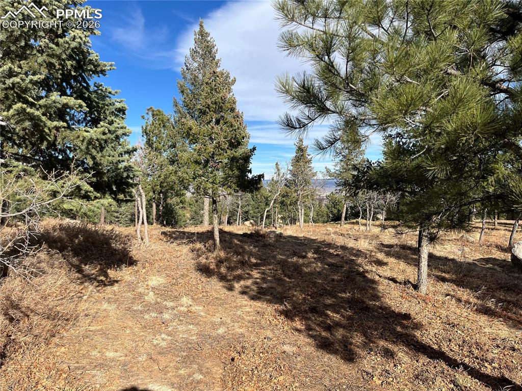 920 Grey Mountain Point Colorado Springs CO 80906