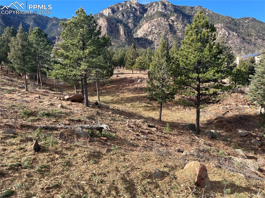 920 Grey Mountain Point Colorado Springs CO 80906