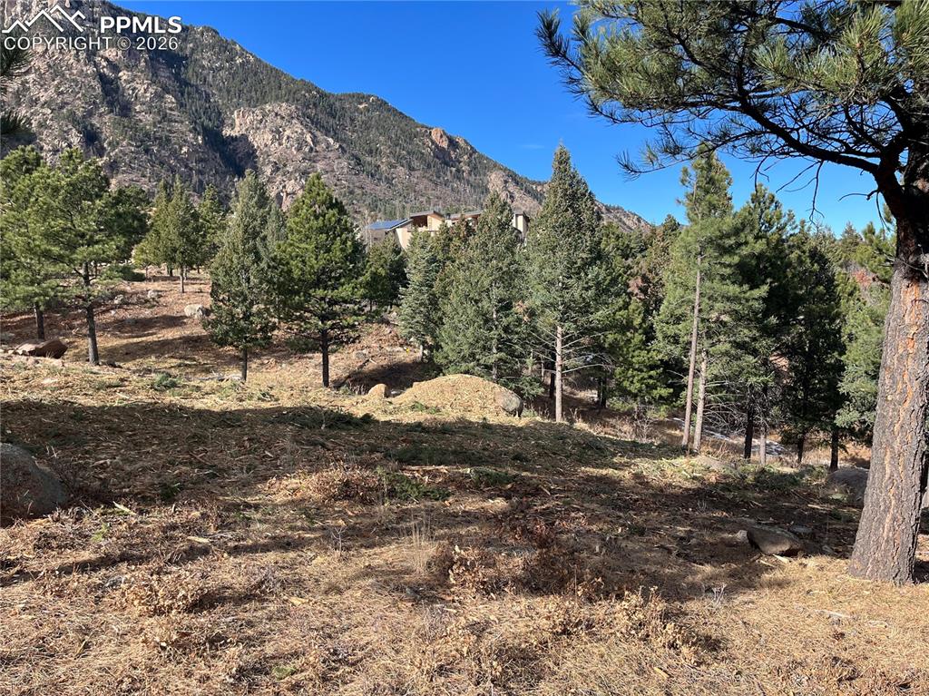 920 Grey Mountain Point Colorado Springs CO 80906
