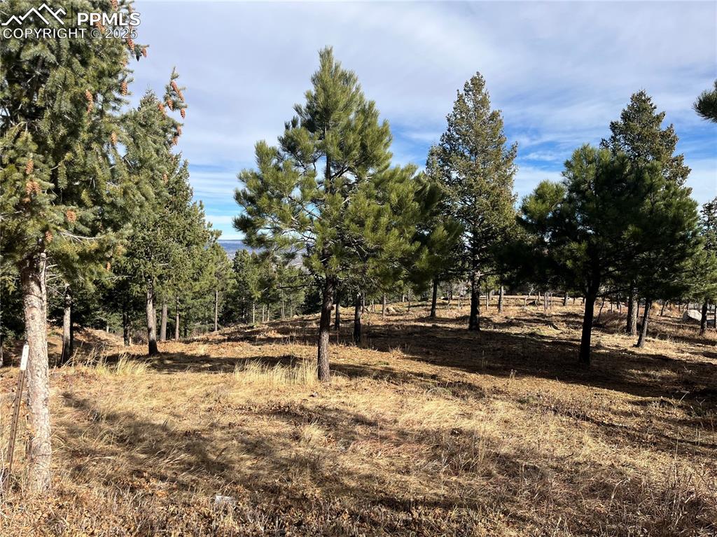 920 Grey Mountain Point Colorado Springs CO 80906