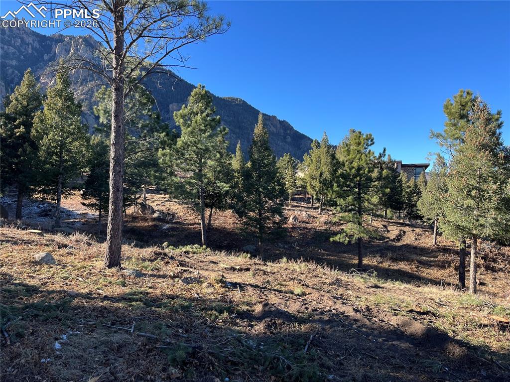 920 Grey Mountain Point Colorado Springs CO 80906