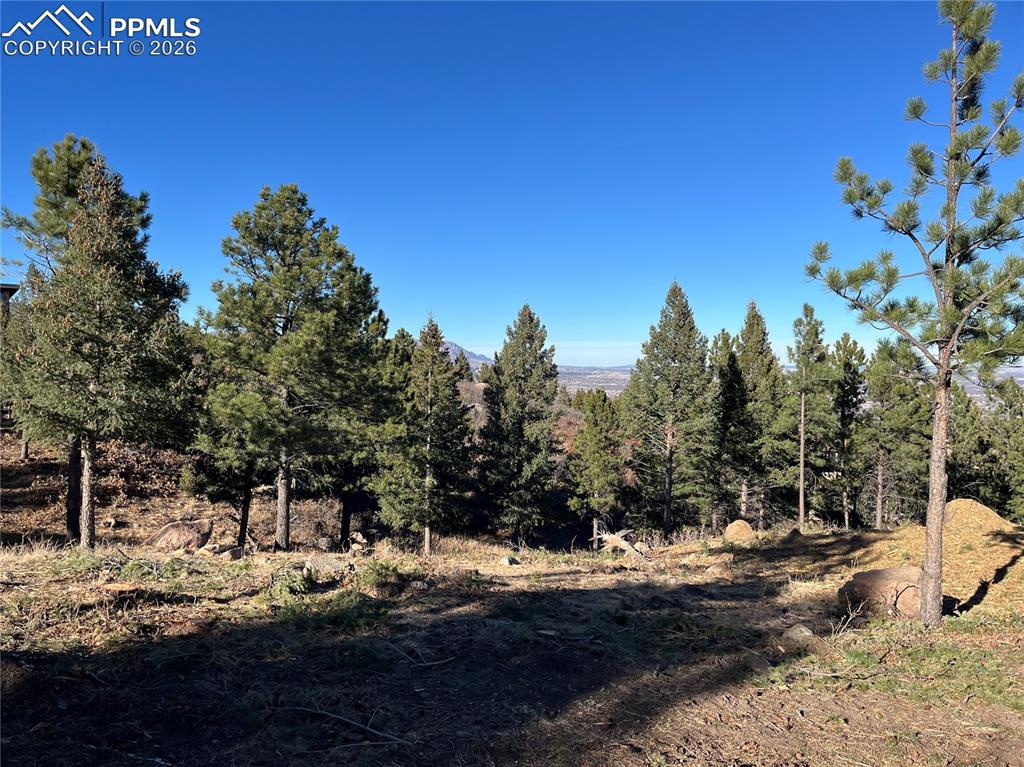 920 Grey Mountain Point Colorado Springs CO 80906