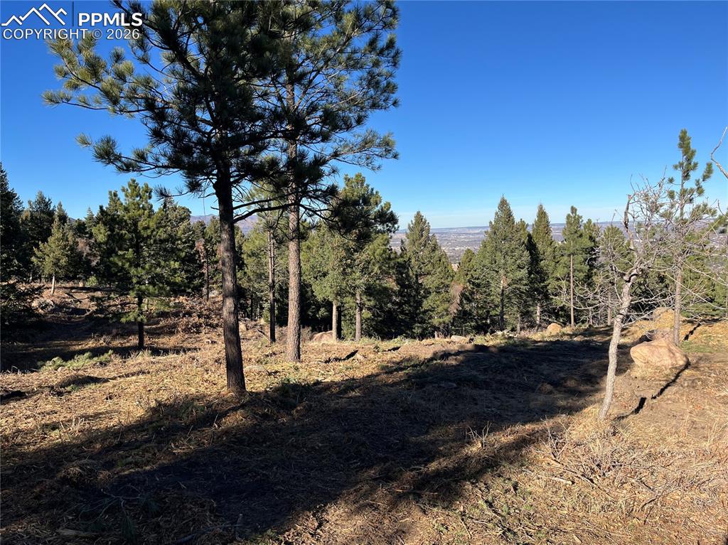 920 Grey Mountain Point Colorado Springs CO 80906