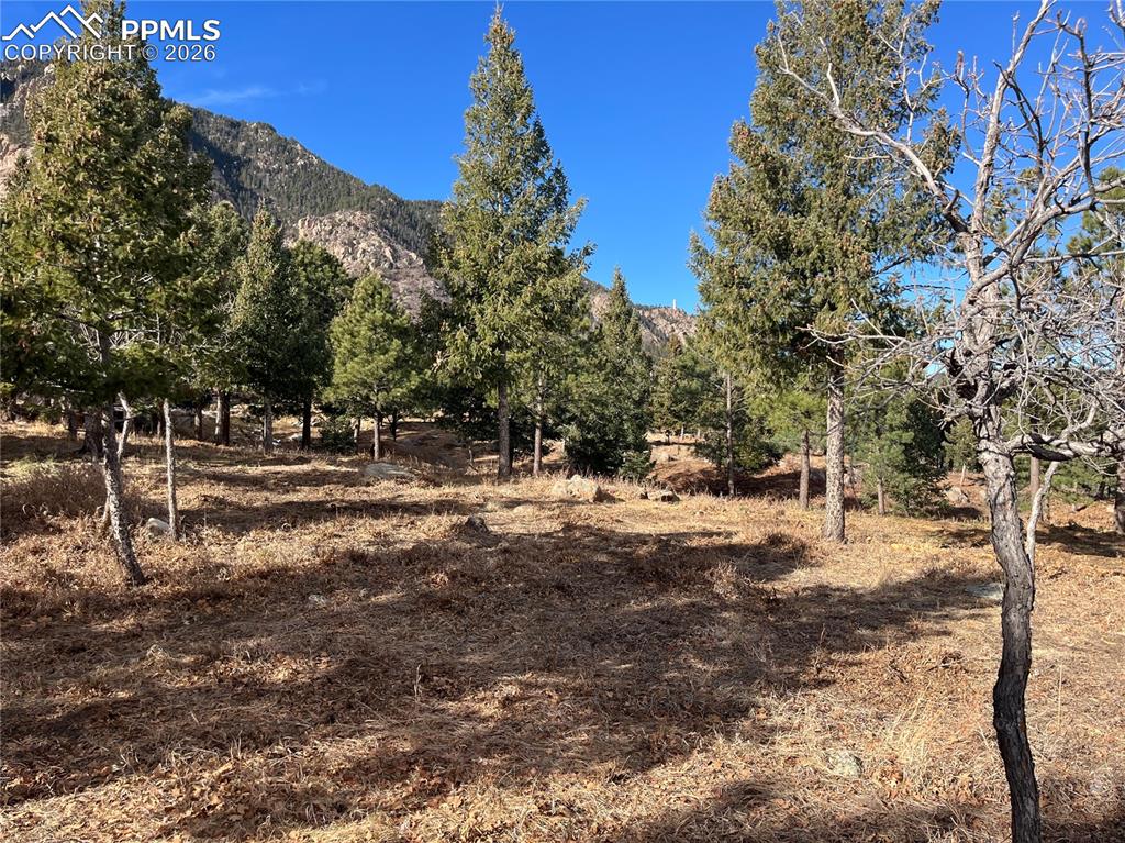 920 Grey Mountain Point Colorado Springs CO 80906