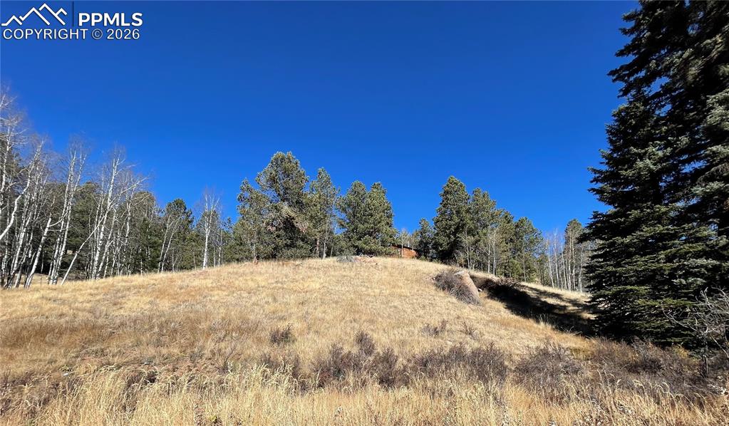 3090 N Mountain Estates Road Florissant CO 80816