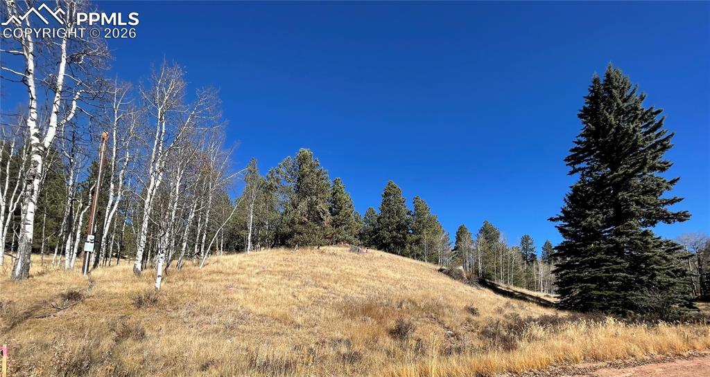 3090 N Mountain Estates Road Florissant CO 80816