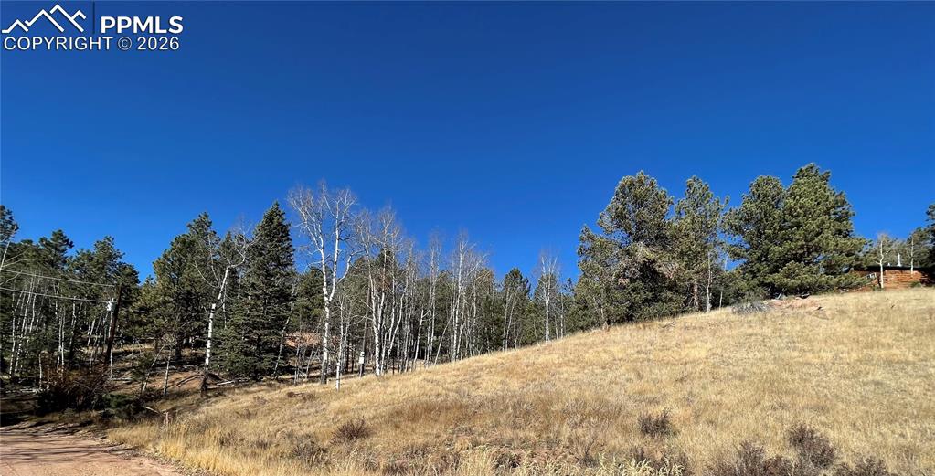 3090 N Mountain Estates Road Florissant CO 80816
