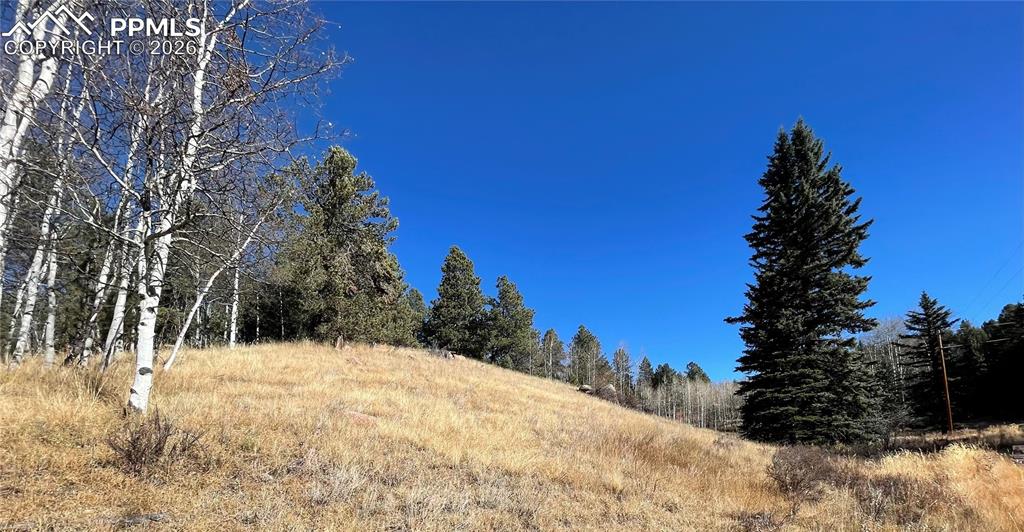 3090 N Mountain Estates Road Florissant CO 80816