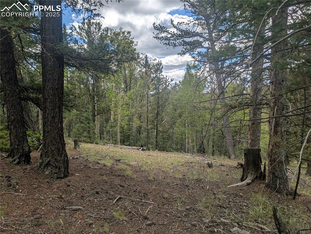2455 Yorktown Road Cripple Creek CO 80813