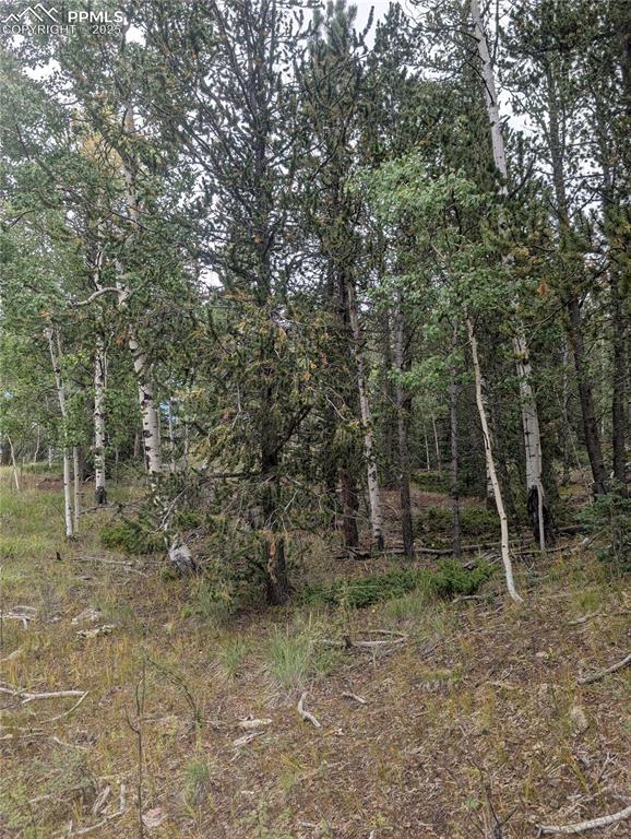 2455 Yorktown Road Cripple Creek CO 80813