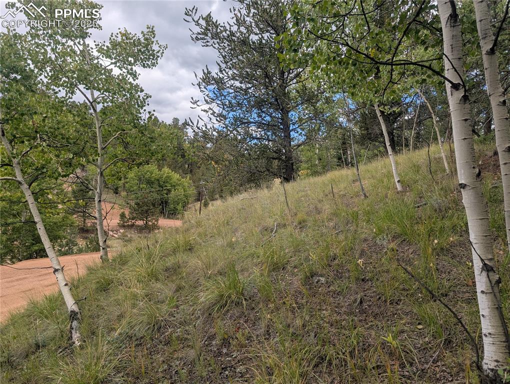 2455 Yorktown Road Cripple Creek CO 80813