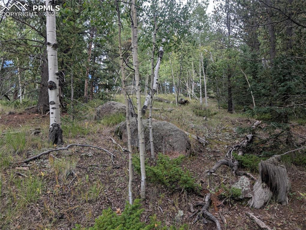 2455 Yorktown Road Cripple Creek CO 80813