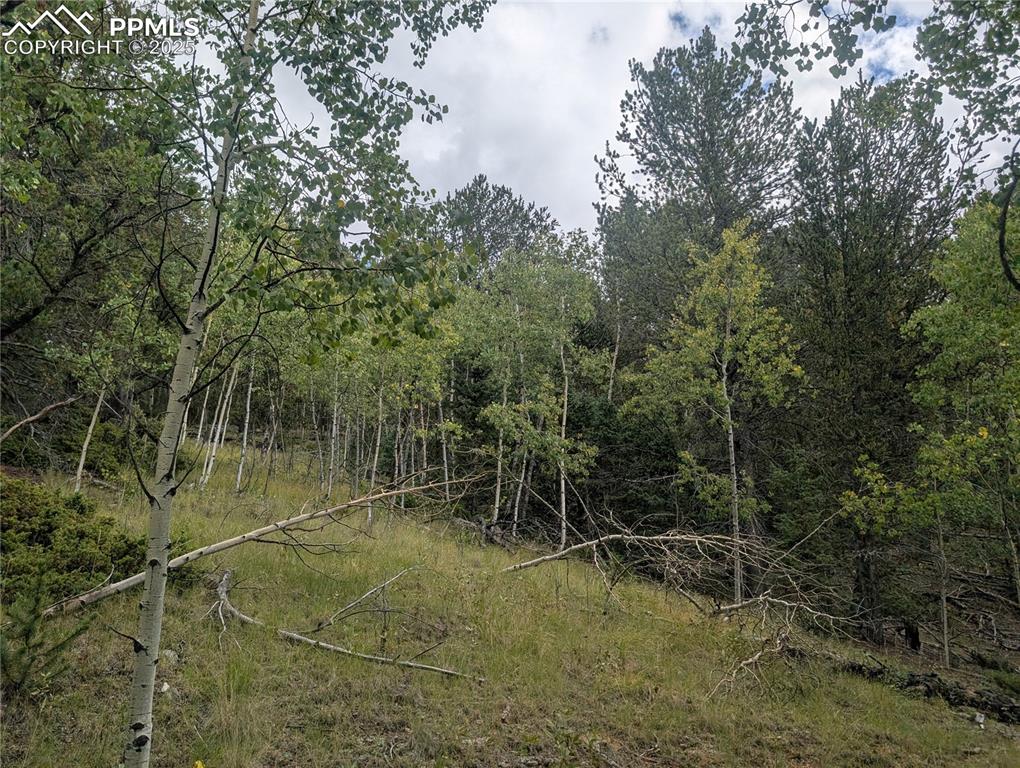 2455 Yorktown Road Cripple Creek CO 80813