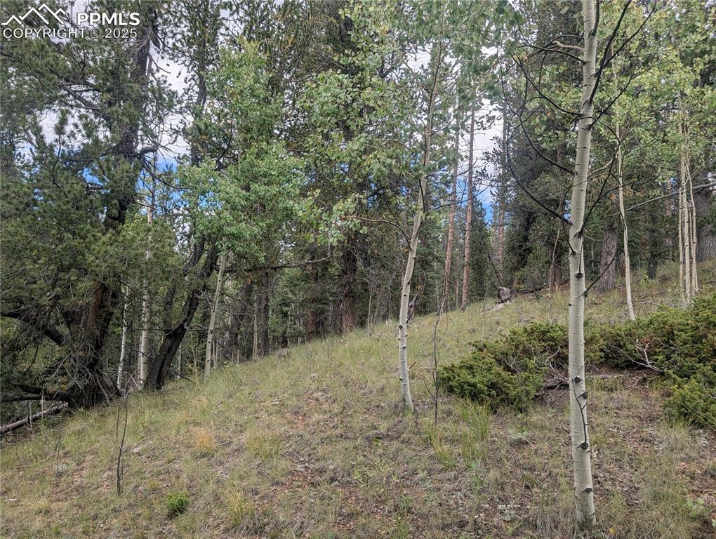 2455 Yorktown Road Cripple Creek CO 80813