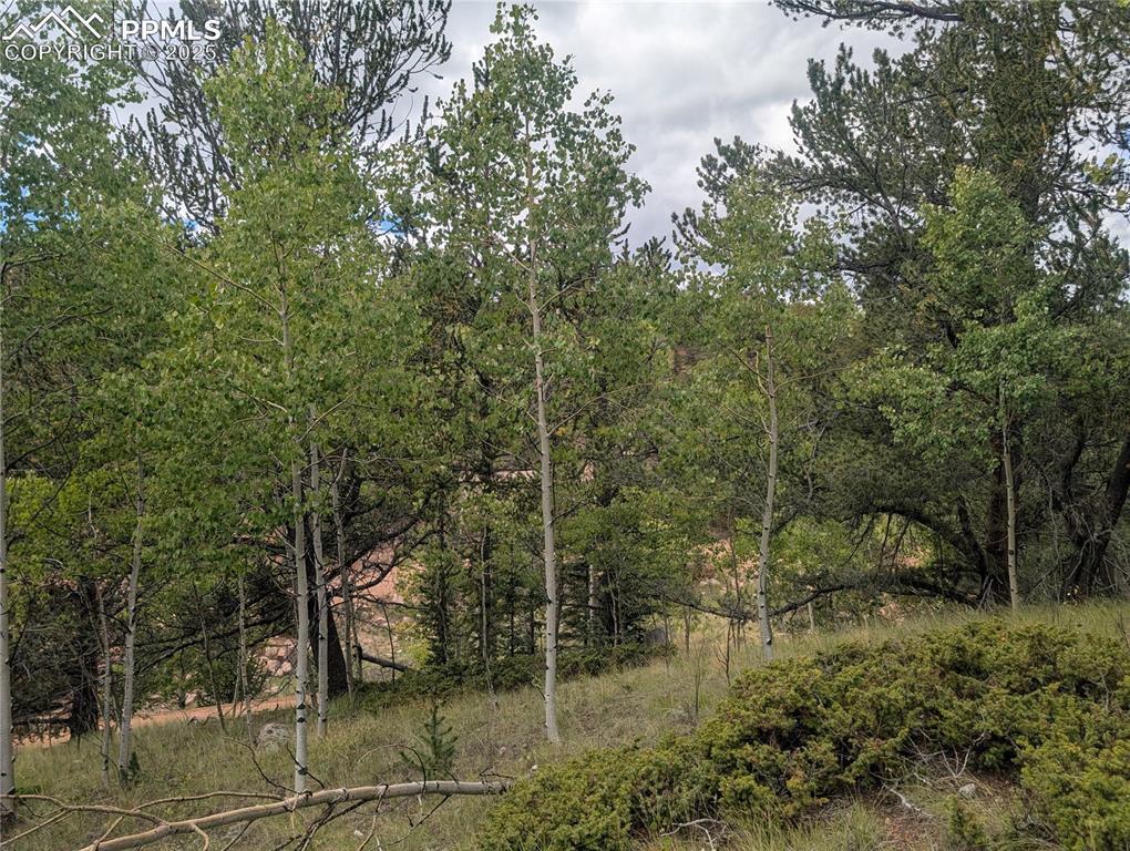 2455 Yorktown Road Cripple Creek CO 80813