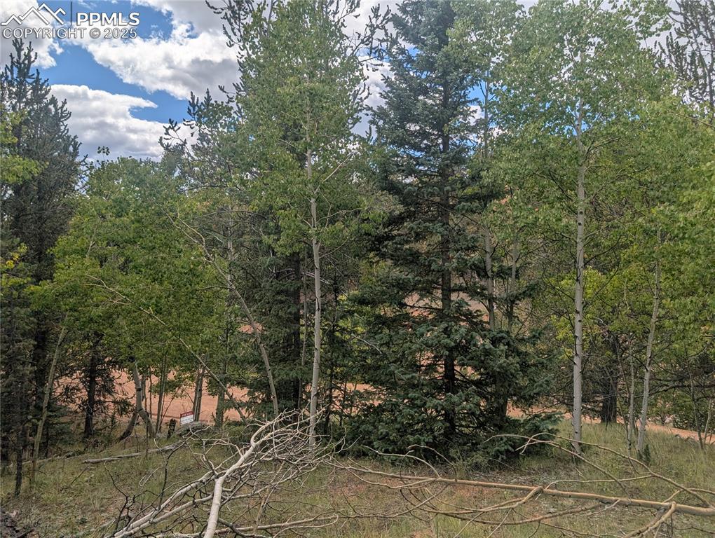 2455 Yorktown Road Cripple Creek CO 80813