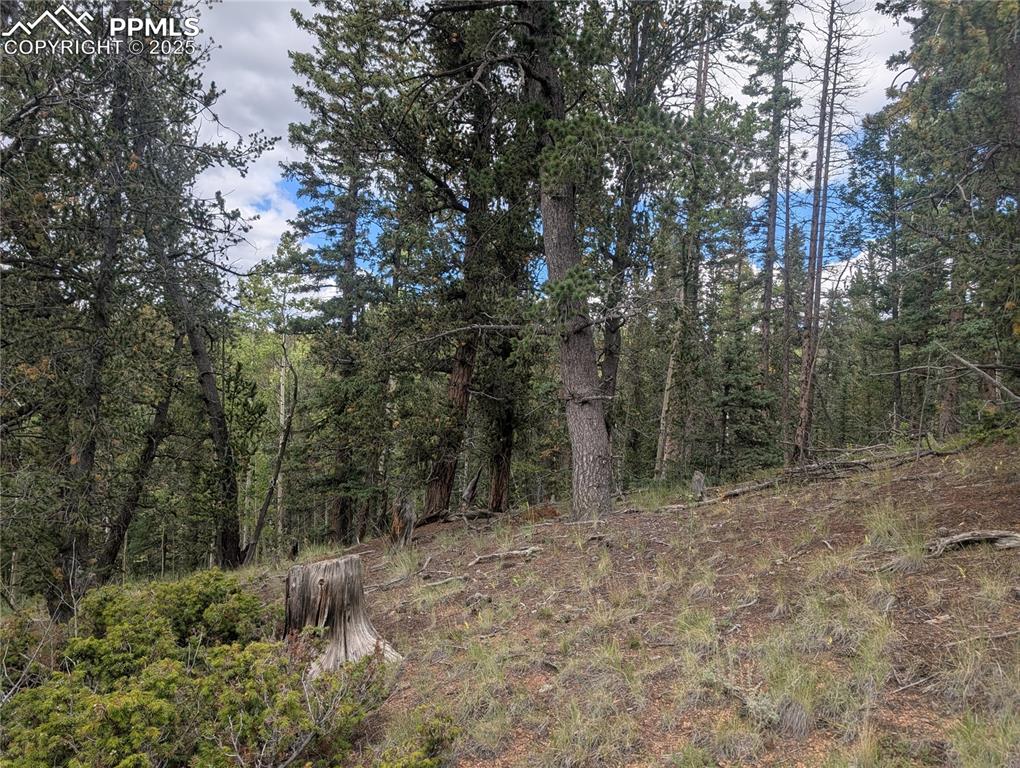 2455 Yorktown Road Cripple Creek CO 80813