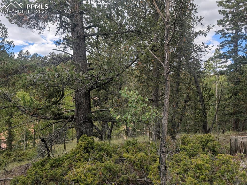 2455 Yorktown Road Cripple Creek CO 80813
