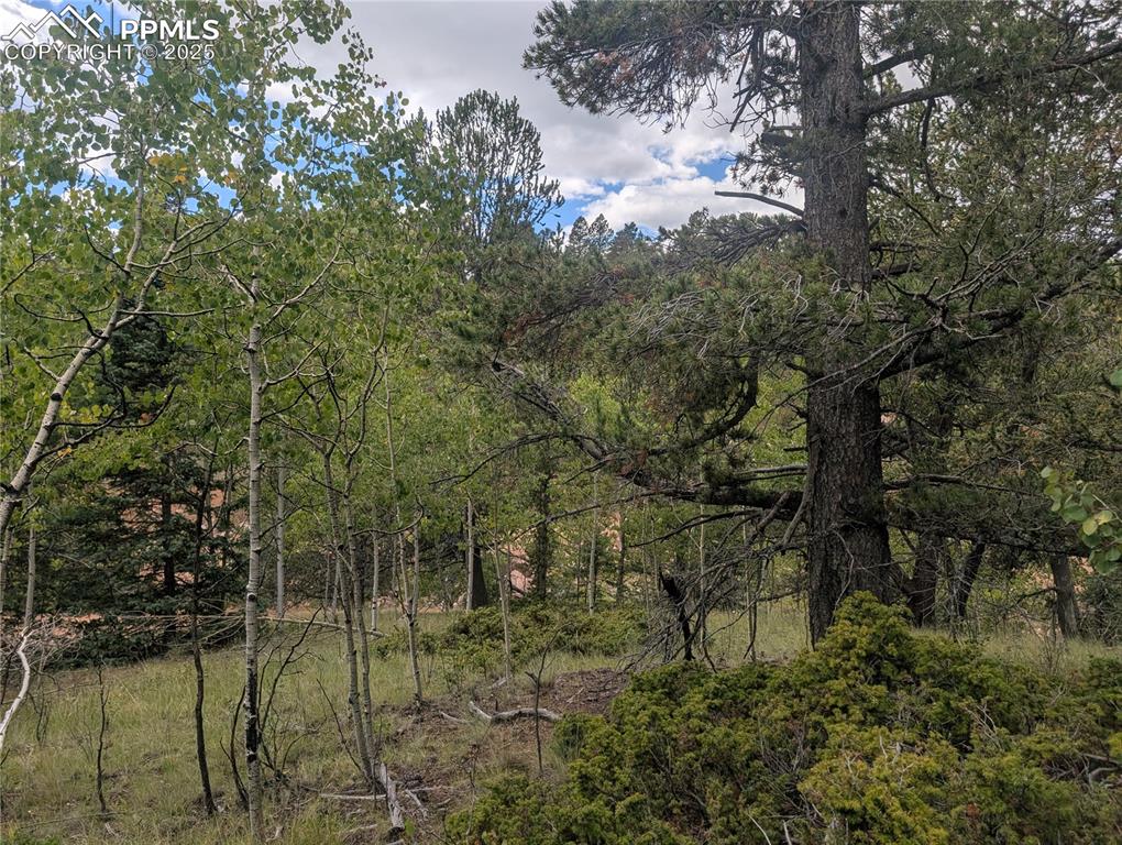 2455 Yorktown Road Cripple Creek CO 80813