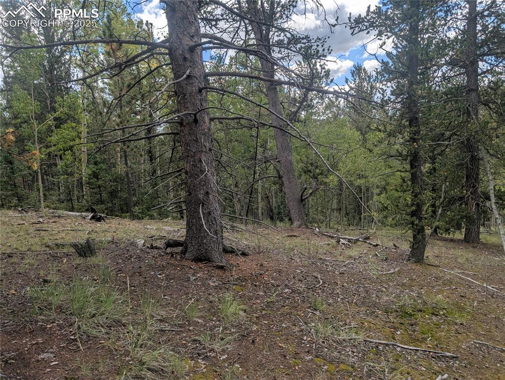2455 Yorktown Road Cripple Creek CO 80813