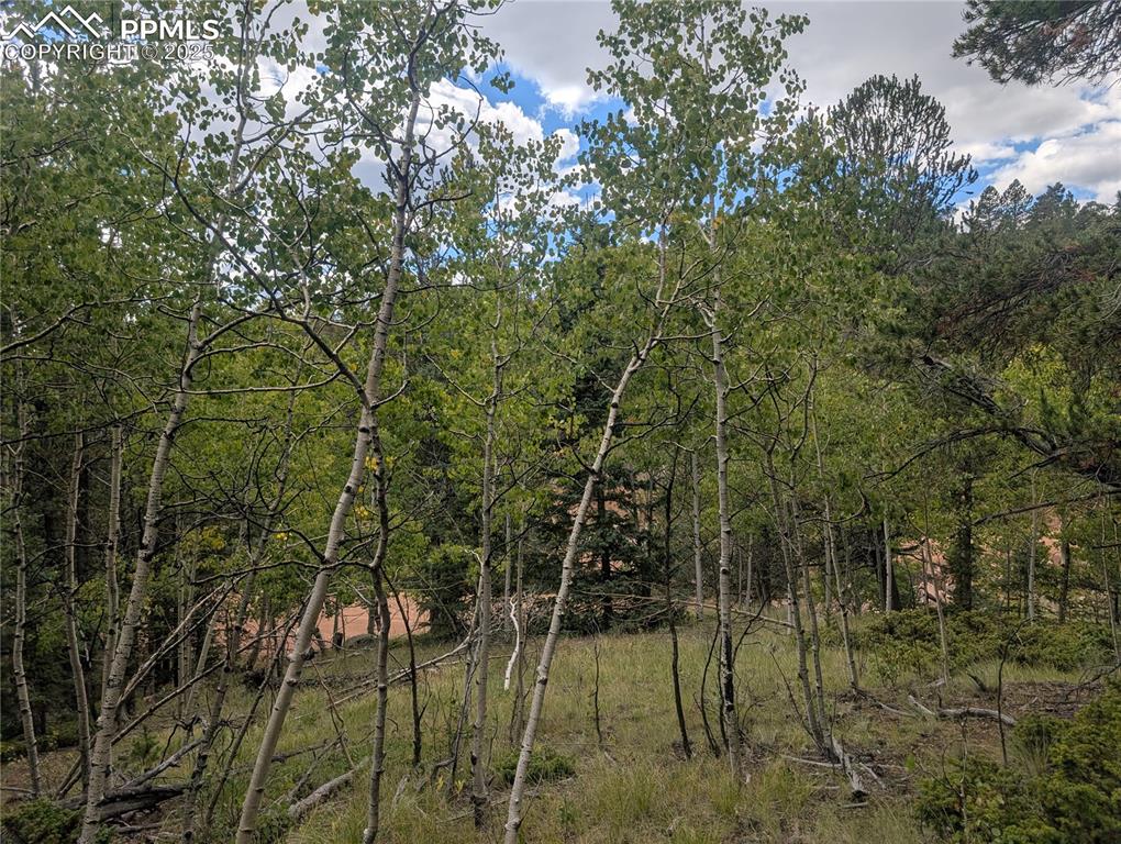 2455 Yorktown Road Cripple Creek CO 80813