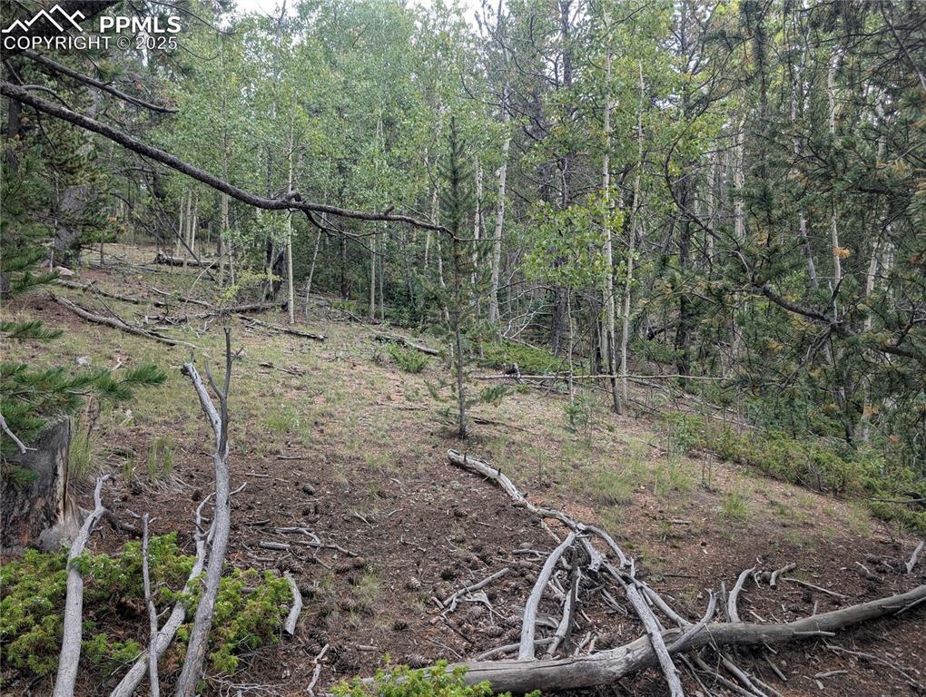 2455 Yorktown Road Cripple Creek CO 80813