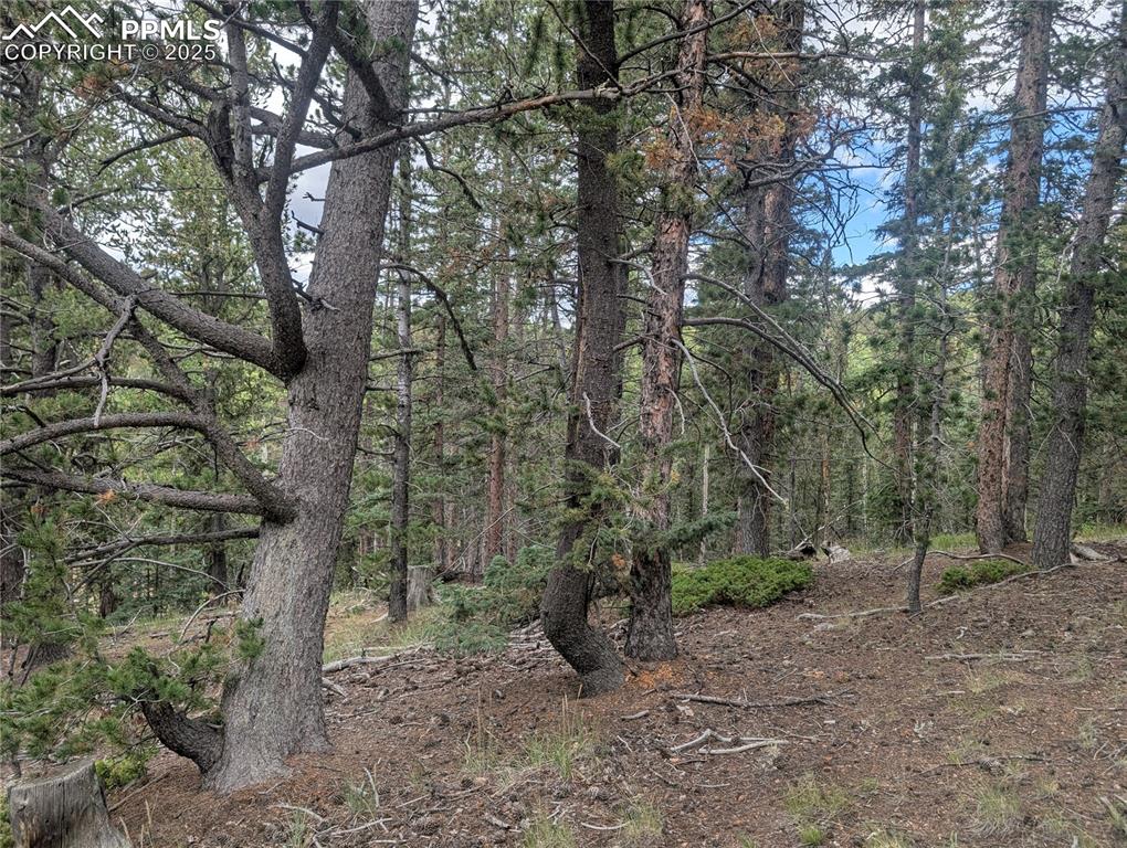 2455 Yorktown Road Cripple Creek CO 80813