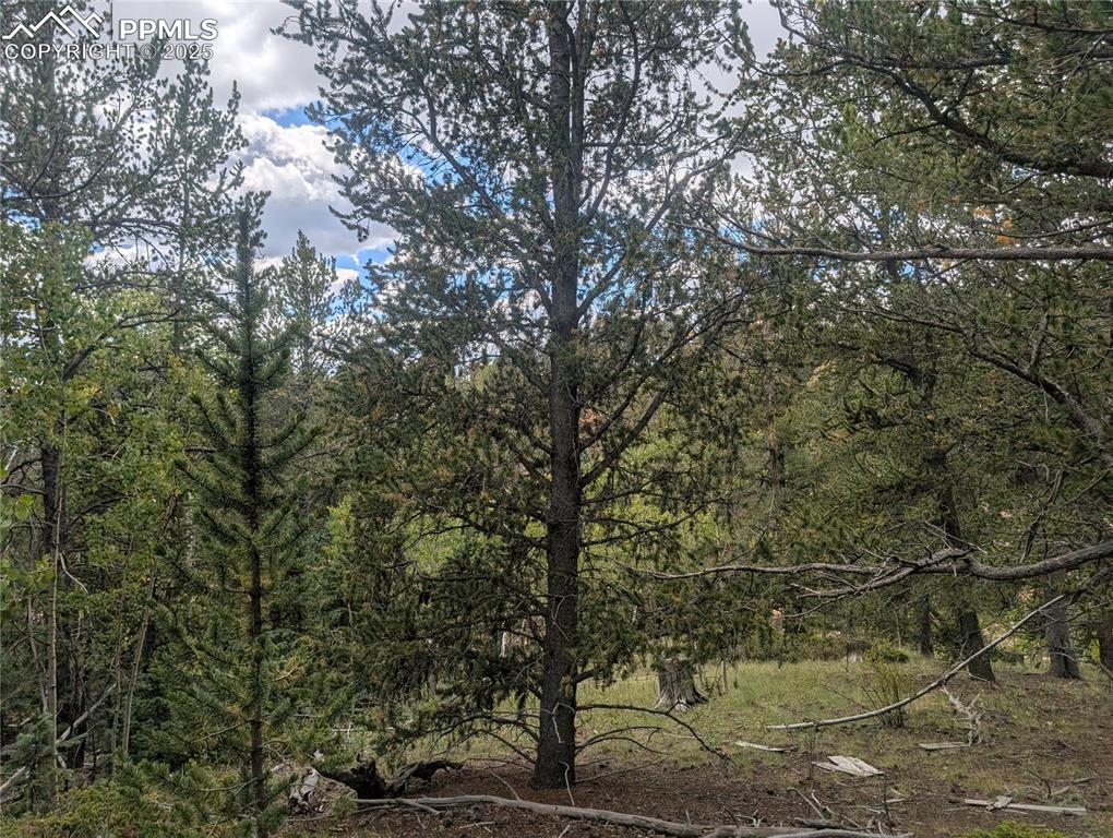 2455 Yorktown Road Cripple Creek CO 80813