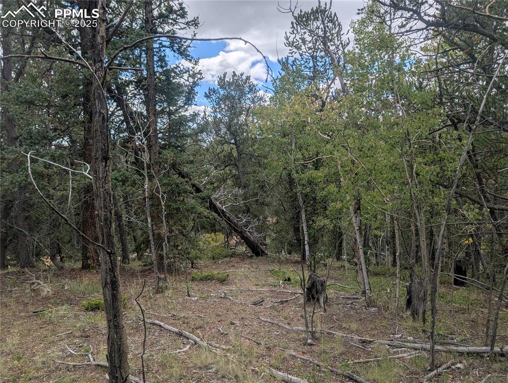 2455 Yorktown Road Cripple Creek CO 80813