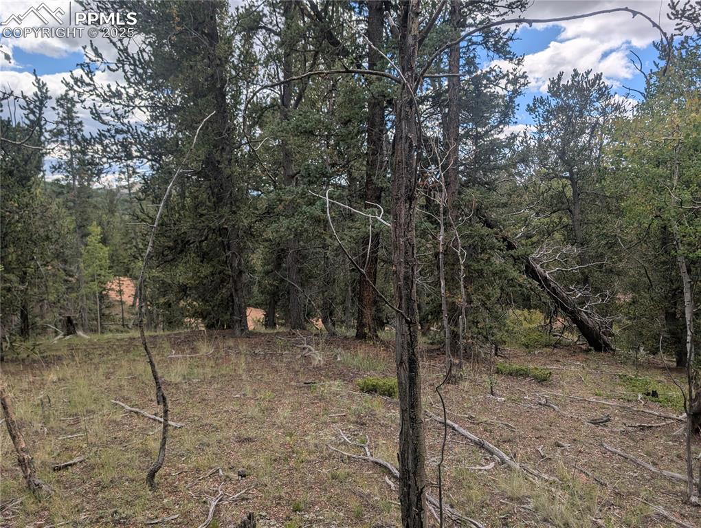 2455 Yorktown Road Cripple Creek CO 80813