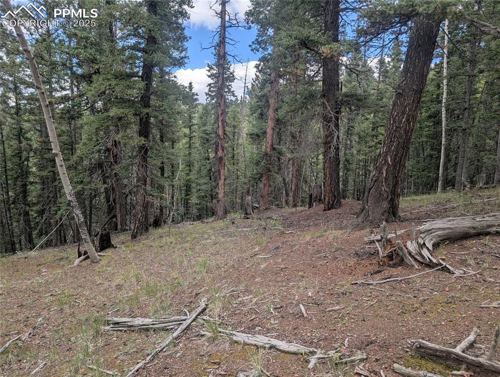 2455 Yorktown Road Cripple Creek CO 80813